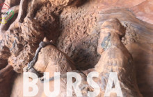 BURSA İŞARET DİLİ HİKAYESİ ANLATICI